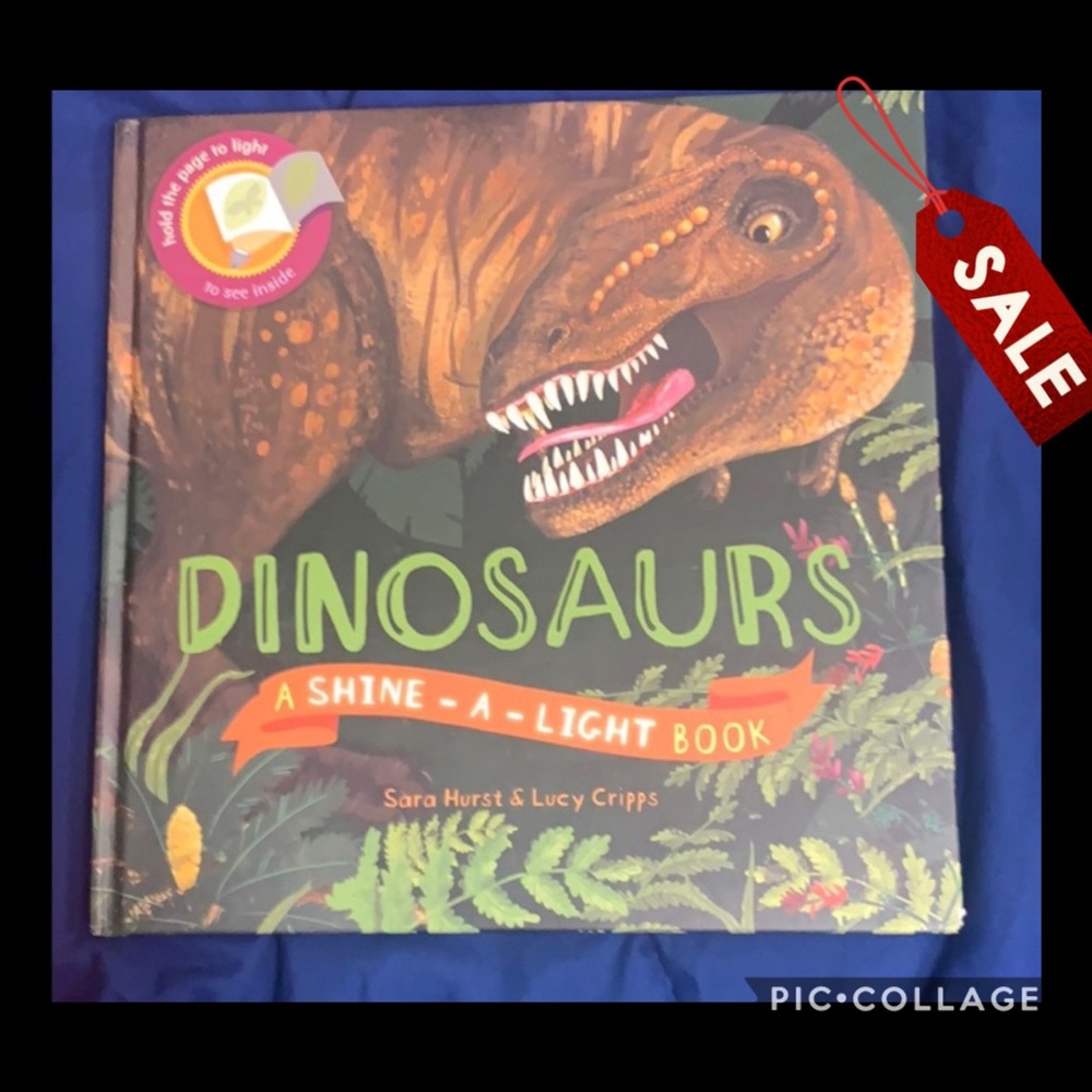 Usborne Books Shine a Light - Dinosaurs